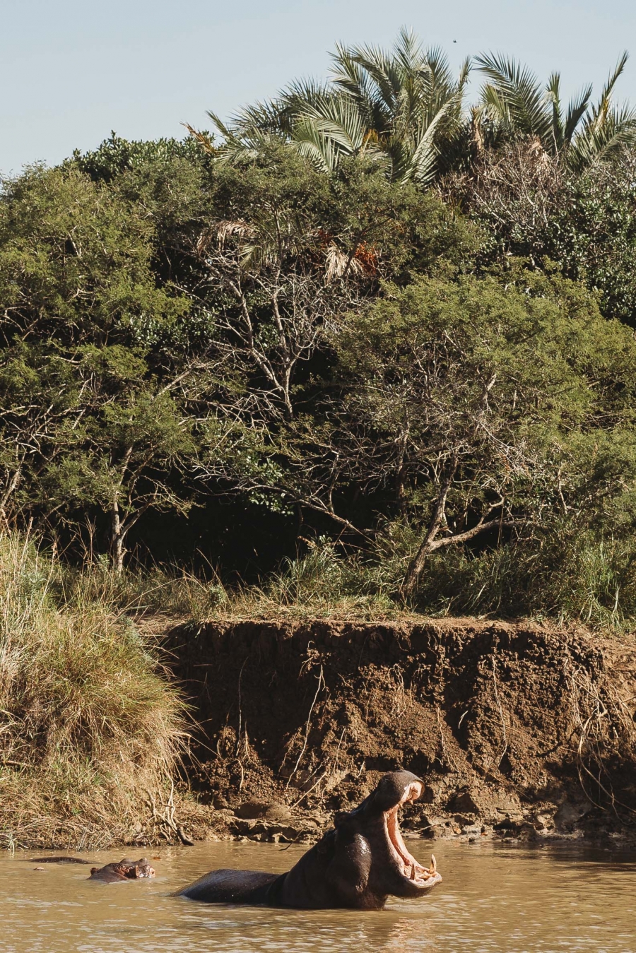 FIH Fotografie » Zuid Afrika